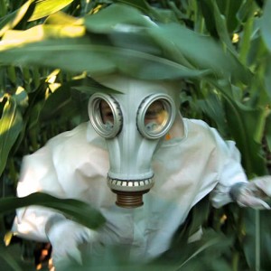 gmo-omg-movie