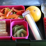 healthy school lunch ideas