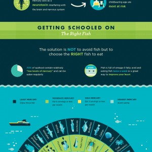 Mercury in Fish